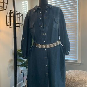 Denim Shirt Dress with Gold button detail. New.